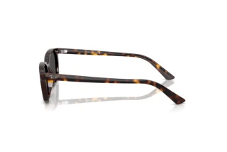 Ray-Ban-RB4456-135987-d090